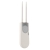 Cambium