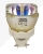 YODN LED Lighting - LED B
