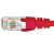 HyperTec Cat6 Cable Patch Lead RJ45 - 1.5M, Red