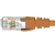 HyperTec Cat5e Cable Patch Lead RJ45 - 2M, Orange