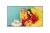 LG The Best Online for