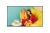 LG The Best Online for