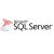 Microsoft SQL Server 2019 - 1 User CAL