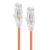 Alogic 0.30m Orange Ultra Slim Cat6 Network Cable UTP 28AWG - Series Alpha