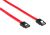 Generic Serial ATA SATA3 Straight Cable - SATA-III - 25cm