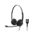 Sennheiser SC 262 - Binaural Headset with Quick Disconnect - Black Noise Cancelling, ActiveGard, Bendable