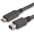 Startech 1.83 m Mini DisplayPort/USB A/V Cable for Chromebook, Monitor, iMac, Notebook, MacBook, Audio/Video Device, TV
