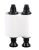Evolis R2015