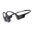 Shokz S803BK