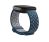 Fitbit FB174SBNVGYL