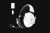 Razer RZ04-04960200-R3M1