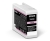 Epson C13T46S60N