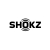 Shokz E310-ST-BK