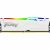Kingston FURY Beast RAM Module