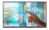 Philips 75"" E-Line Android 14