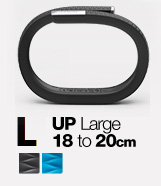 buy large jawbone up online